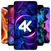 flash播放器
